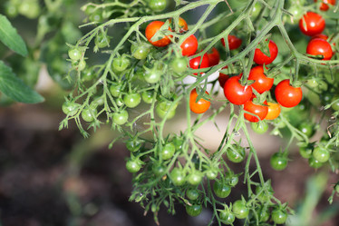 Similar image 18156837