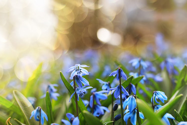 Similar image 18156518