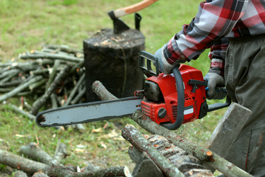 Similar image 18152272