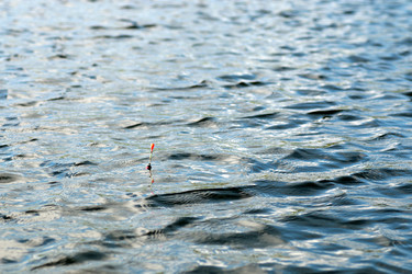 Similar image 18156353