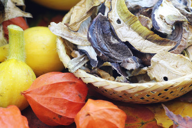 Similar image 18156846