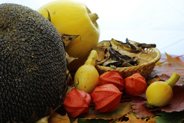 Similar image 18156885