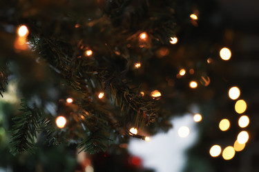 Similar image 18152097