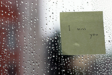 Similar image 18152234