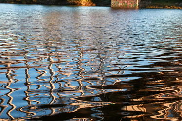 Similar image 18156762