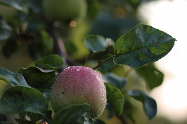 Similar image 18156656