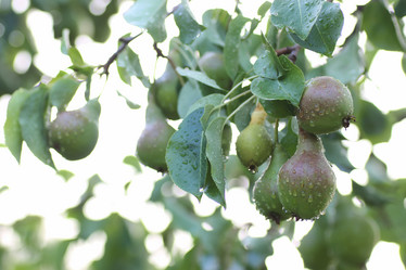 Similar image 18156803