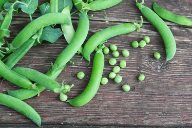 Similar image 18156862