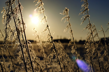 Similar image 18152017