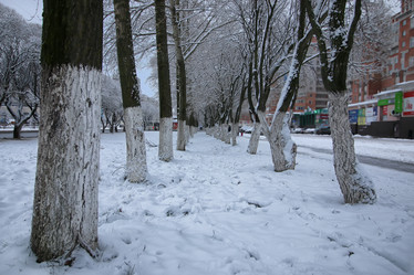 Similar image 18152276