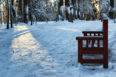 Similar image 18156806