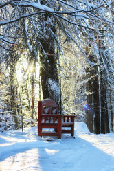 Similar image 18156864