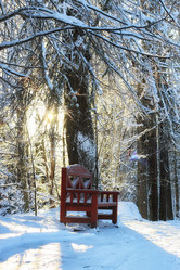 Similar image 18156409