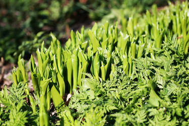 Similar image 18156289