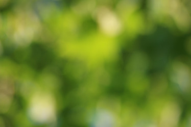 Similar image 18156330