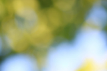 Similar image 18156369