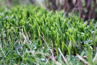 Similar image 18156739