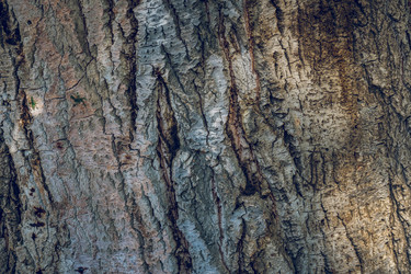 Similar image 18140115