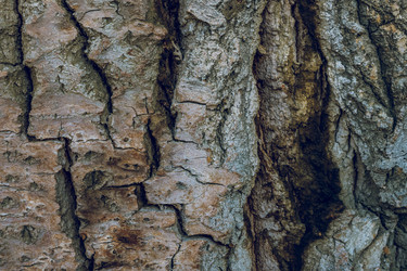 Similar image 18140202