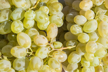 Similar image 18140007