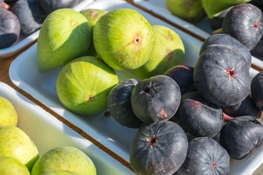 Similar image 18140043