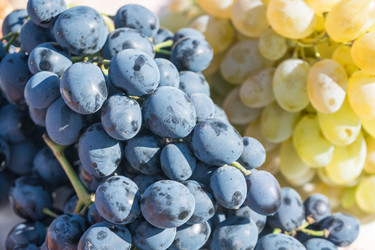 Similar image 18140055