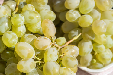 Similar image 18140059