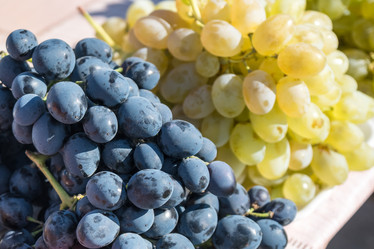 Similar image 18140117