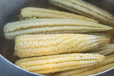 Similar image 18140424