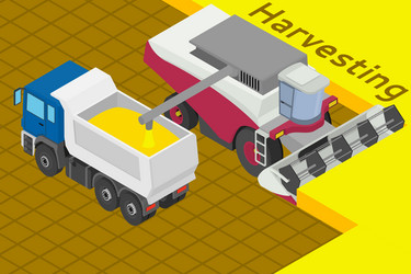 Similar image 17560503