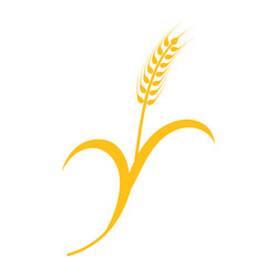 Similar image 17560871