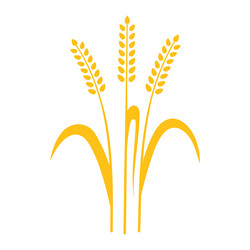 Similar image 17561012