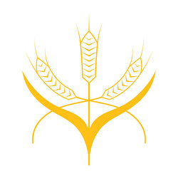 Similar image 17561182