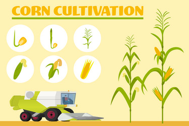 Similar image 17561613