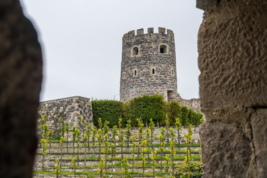 Similar image 18140320