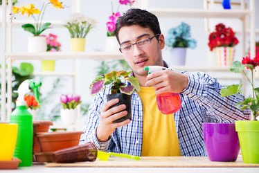 Similar image 18245406