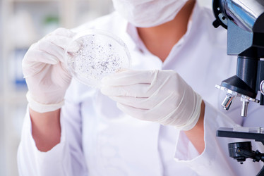 Similar image 18253688