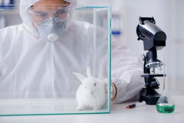 Similar image 18148803