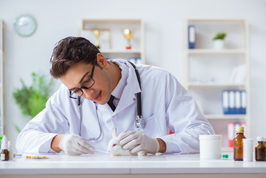 Similar image 18157368