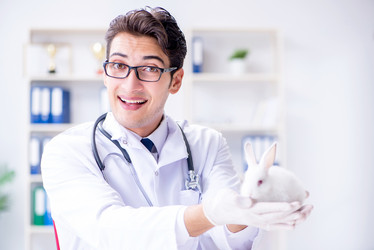 Similar image 18508142