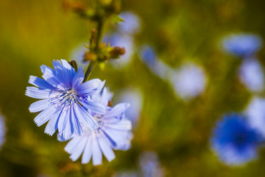 Similar image 17624590