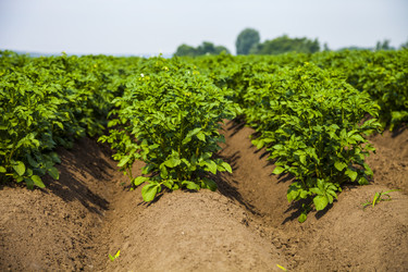 Similar image 17625272