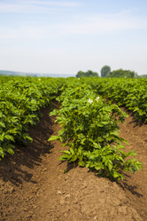 Similar image 17625308