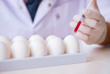 Similar image 18147567