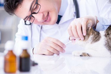 Similar image 18508208