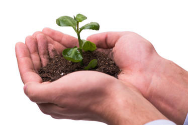 Similar image 18258301