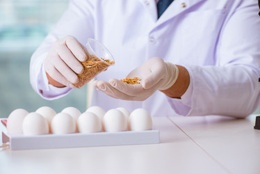 Similar image 18508172