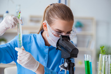 Similar image 18268363