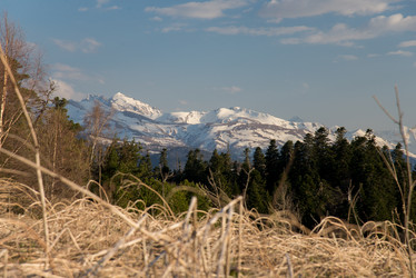 Similar image 17819119