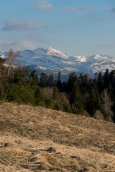 Similar image 17819135